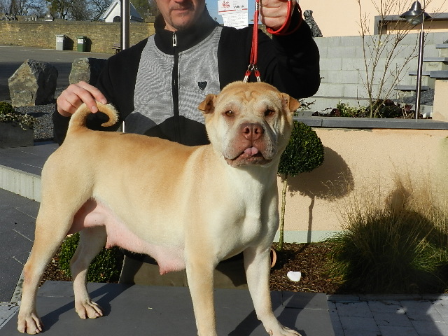 Jenny de la noblesse bleu